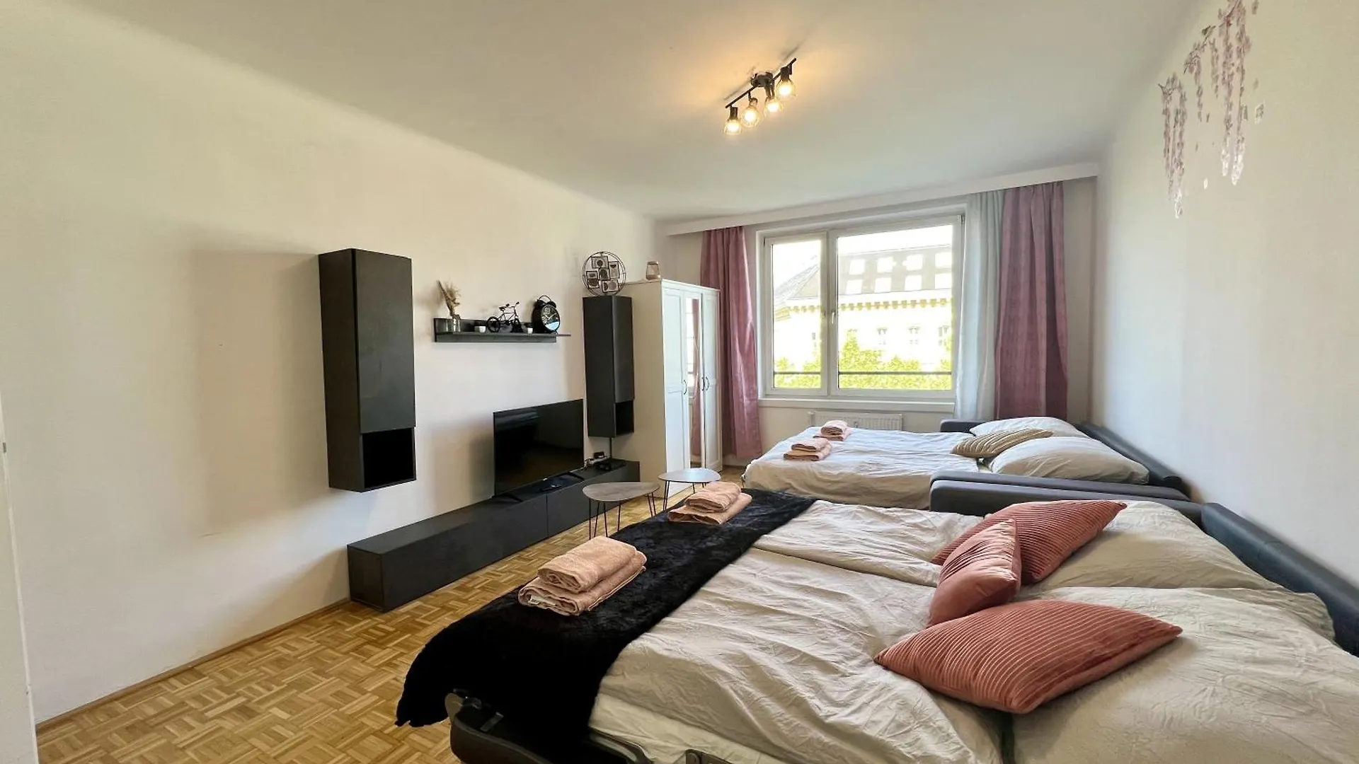 Huge Family Apartment Austria